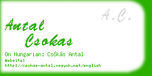 antal csokas business card